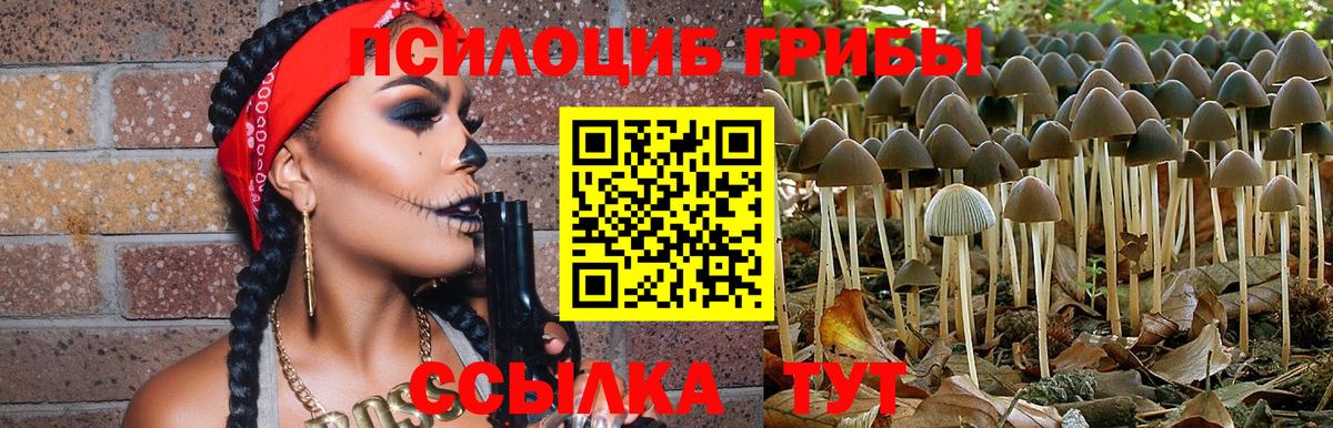 Галлюциногенные грибы ЛСД Ухта